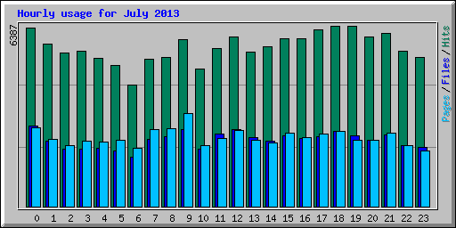 Hourly usage for July 2013
