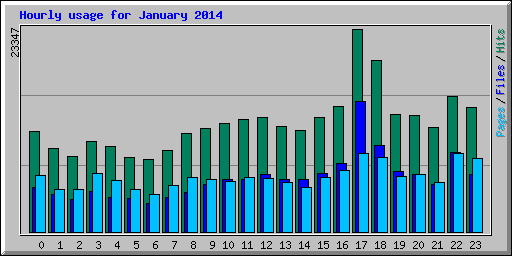 Hourly usage for January 2014